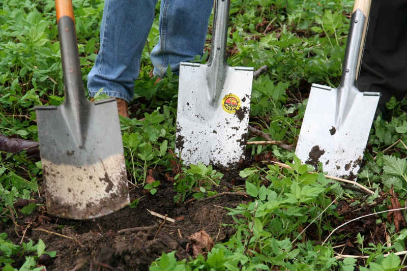 pepiniere-LE TIGNET-min_work-lawn-flower-tool-green-backyard-1103633-pxhere.com